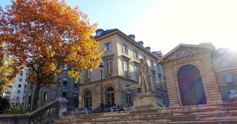 <b> L’échec du Collège de France à protéger la liberté académique : l’exemple à ne pas suivre </b> </br> </br> Par Camille Fernandes