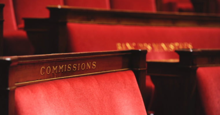 <b> LE PALAIS BOURBON EN PETITE RÉFORME. À PROPOS DE LA MODIFICATION DU RÈGLEMENT DE L’ASSEMBLÉE NATIONALE </b></br></br> Par Antoine Carpentier